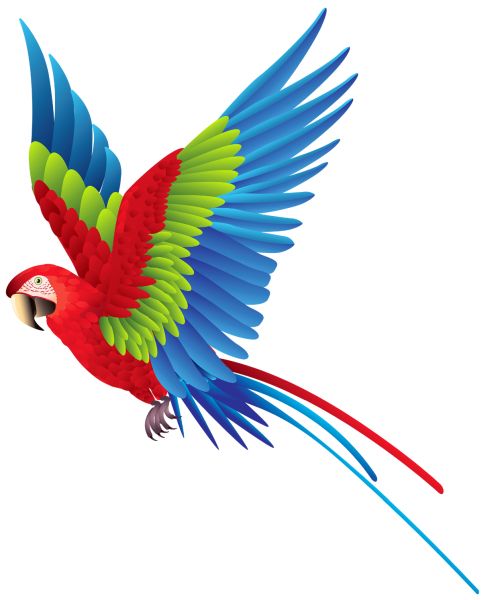 鹦鹉PNG免抠图透明素材 16设计网编号:96591