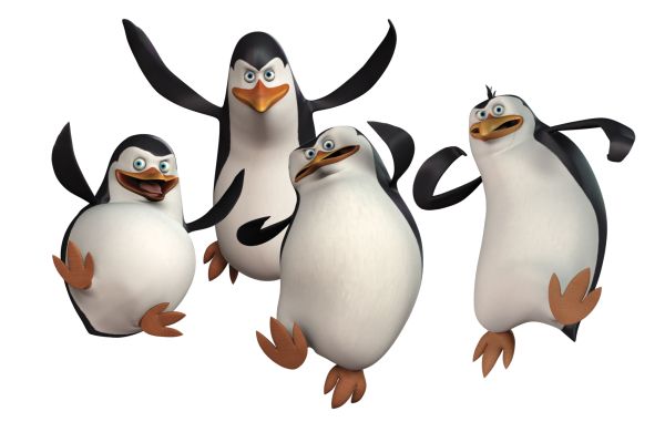 企鹅PNG图片,马达加斯加企鹅PNG透明背景免抠图元素 16图库网编号:4643