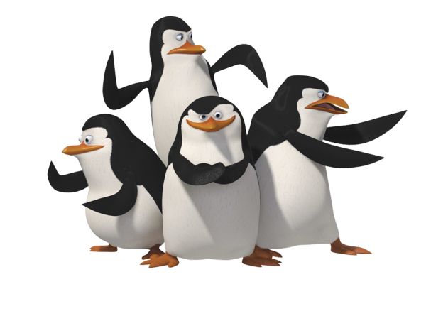马达加斯加企鹅PNG透明元素免抠图素材 16素材网编号:4629