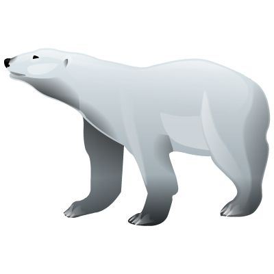 北极白熊 PNG免抠图透明素材 普贤居素材编号:23522
