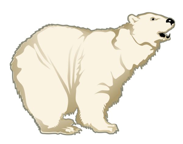 北极白熊 PNG透明元素免抠图素材 16素材网编号:23499