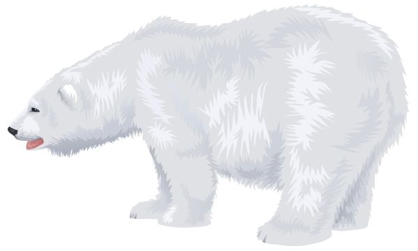 北极白熊 PNG透明背景免抠图元素 16图库网编号:23501