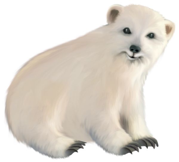 北极白熊 PNG透明背景免抠图元素 16图库网编号:23477