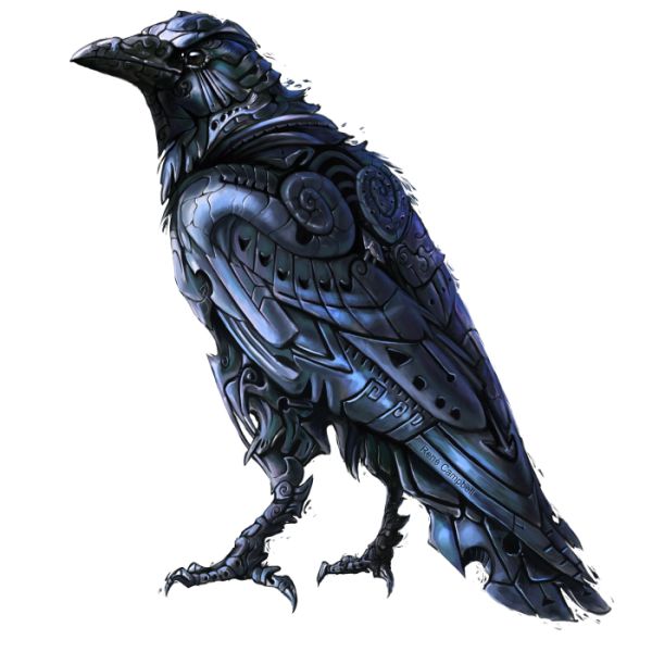 Raven PNG免抠图透明素材 16设计网编号:71390