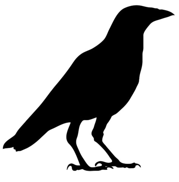Raven PNG透明元素免抠图素材 16素材网编号:71397