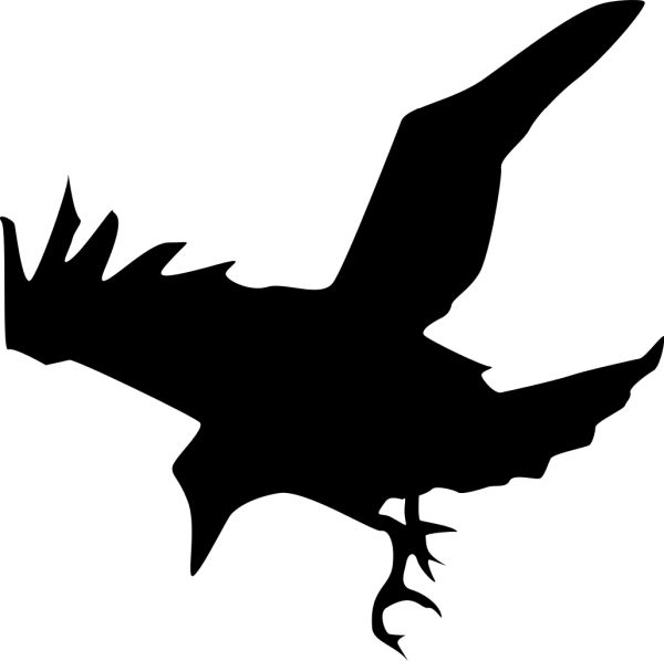 Raven PNG免抠图透明素材 16设计网编号:71409