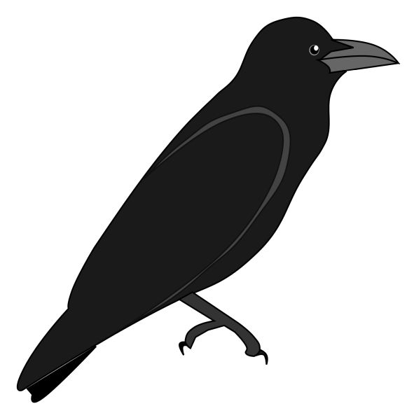 Raven PNG透明背景免抠图元素 16图库网编号:71414