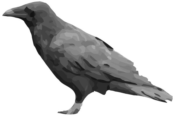 Raven PNG透明背景免抠图元素 16图库网编号:71444