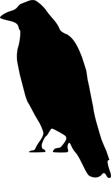 Raven PNG透明元素免抠图素材 16素材网编号:71458