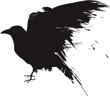 Raven PNG免抠图透明素材 16设计网编号:71459