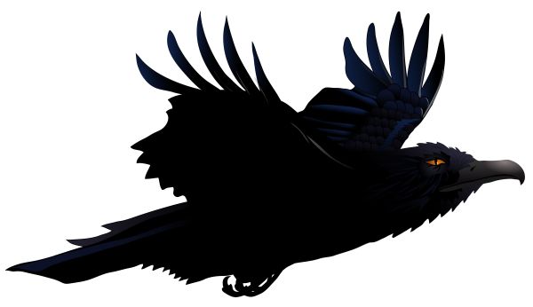Raven PNG免抠图透明素材 16设计网编号:71462