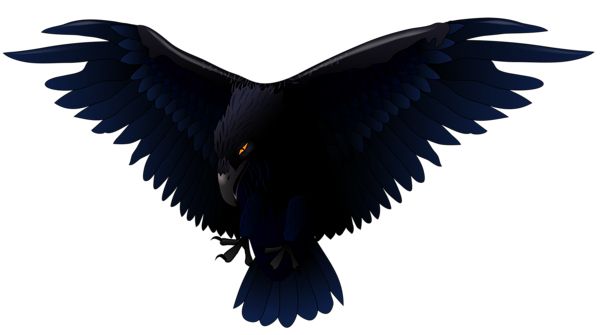 Raven PNG免抠图透明素材 16设计网编号:71465