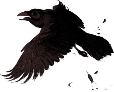 Raven PNG免抠图透明素材 16设计网编号:71469