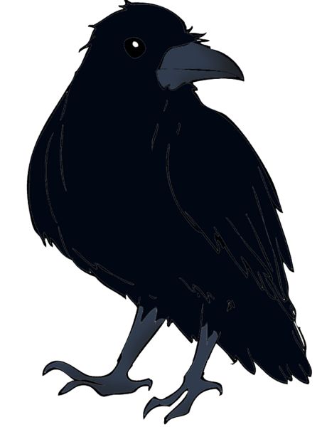 Raven PNG免抠图透明素材 16设计网编号:71470