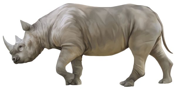 犀牛 PNG免抠图透明素材 16设计网编号:24789
