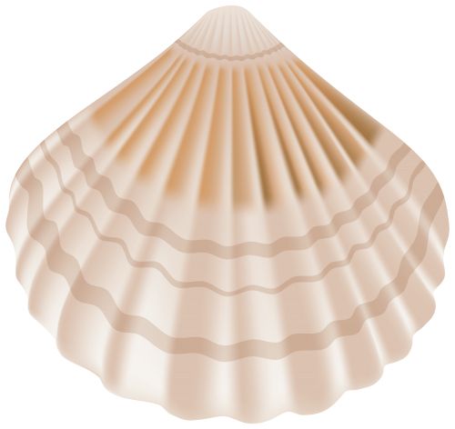 贝壳 PNG免抠图透明素材 16设计网编号:37130