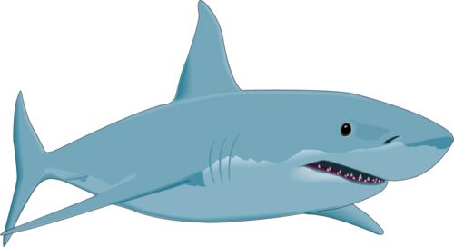 鲨鱼PNG透明元素免抠图素材 16素材网编号:96506