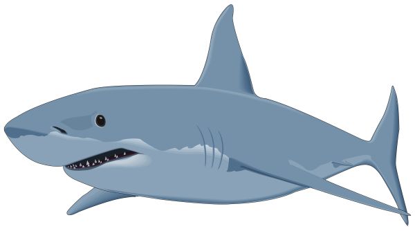 鲨鱼PNG免抠图透明素材 16设计网编号:96516