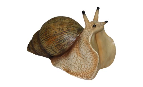 蜗牛 PNG透明背景免抠图元素 16图