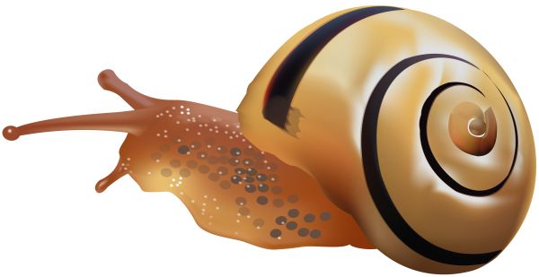 蜗牛 PNG免抠图透明素材 素材中国编号:96445