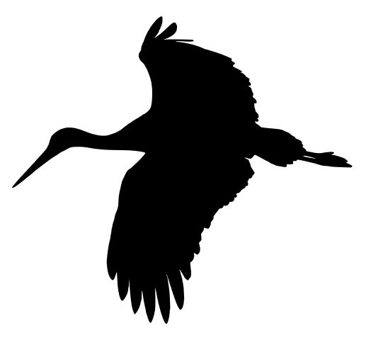 Stork PNG免抠图透明素材 16设计网编号:23895
