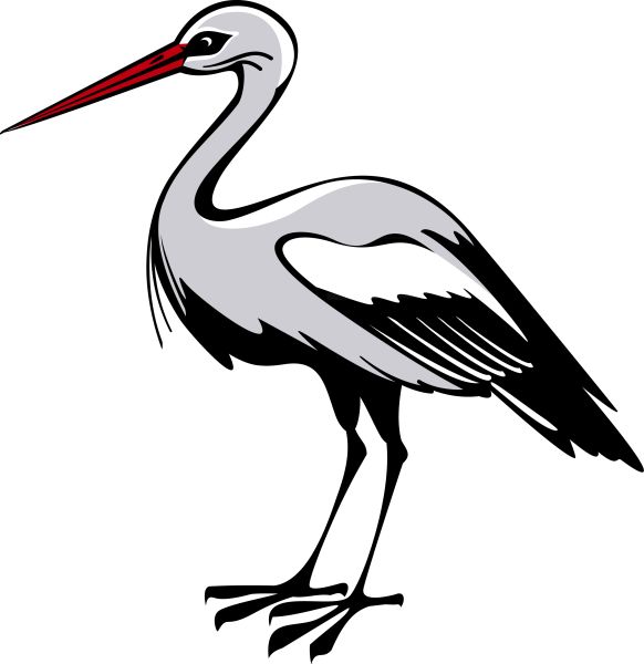 Stork PNG免抠图透明素材 普贤居素材编号:23901