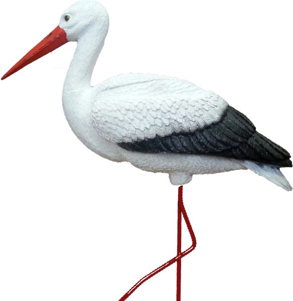 Stork PNG透明背景免抠图元素 16图库网编号:23905