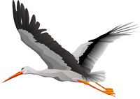Stork PNG免抠图透明素材 16设计网编号:23910