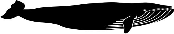 鲸鱼PNG透明元素免抠图素材 16素材网编号:19267