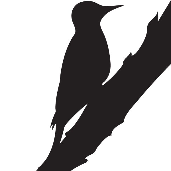 啄木鸟 PNG免抠图透明素材 普贤居素材编号:67208