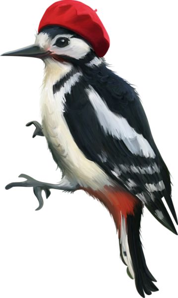 啄木鸟 PNG透明背景免抠图元素 16图库网编号:67213
