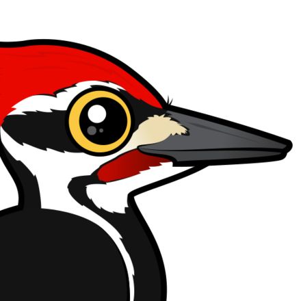 啄木鸟 PNG透明背景免抠图元素 素材中国编号:67220