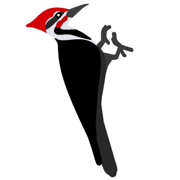 啄木鸟 PNG透明背景免抠图元素 16图库网编号:67228