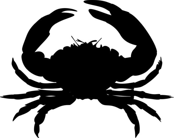 巨蟹座 zodiac PNG免抠图透明素材 16设计网编号:52310