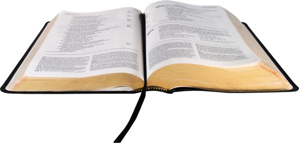 打开圣经PNG免抠图透明素材 素材中国编号:22925