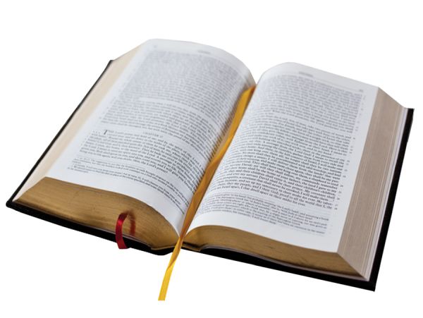 打开圣经PNG透明背景免抠图元素 16图库网编号:22969