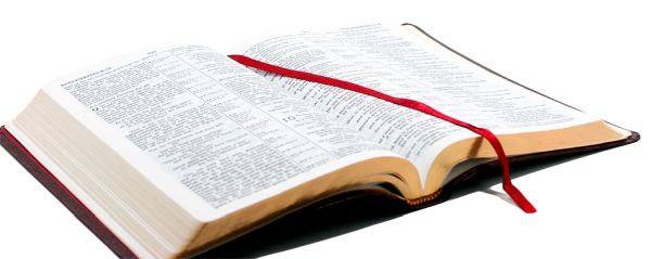打开圣经PNG透明背景免抠图元素 16图库网编号:22931