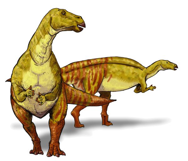 恐龙 PNG免抠图透明素材 16设计网编号:103536