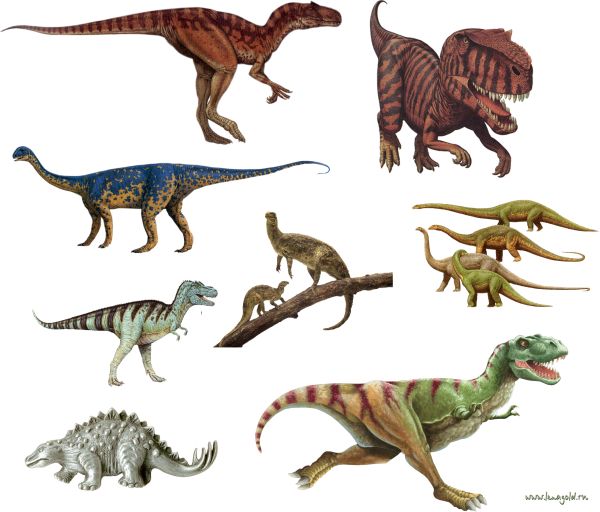 恐龙 PNG透明元素免抠图素材 16素
