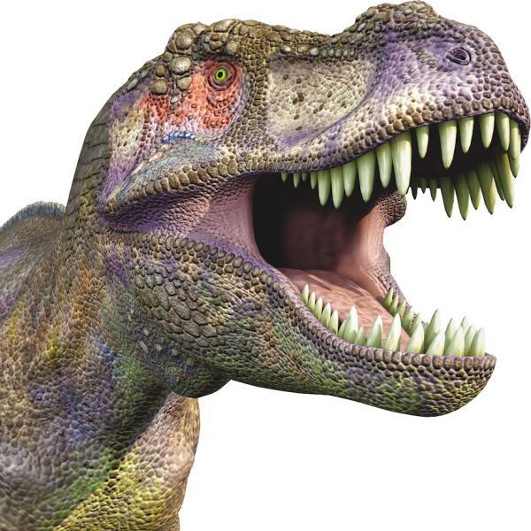 恐龙 PNG透明背景免抠图元素 16图库网编号:16570