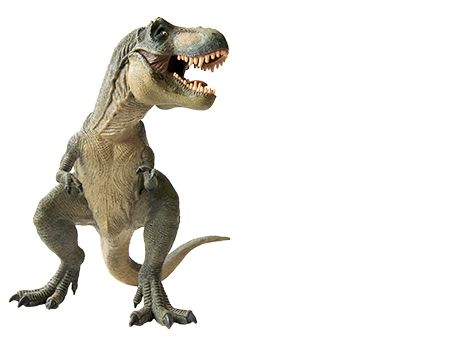 恐龙 PNG透明背景免抠图元素 16图库网编号:16585