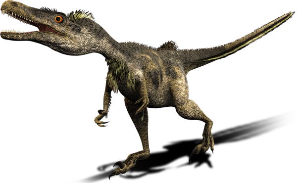 恐龙 PNG透明背景免抠图元素 16图库网编号:16594