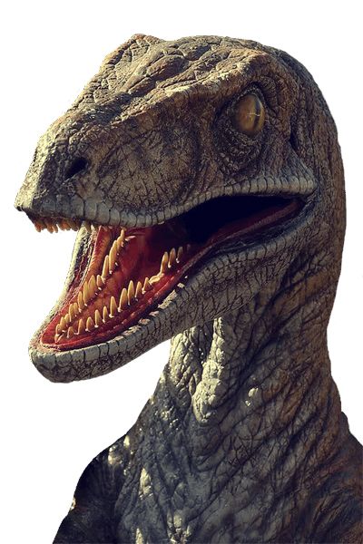 恐龙 PNG透明背景免抠图元素 16图库网编号:16610