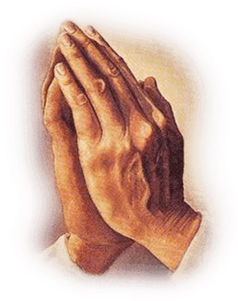 祈祷之手 PNG透明背景免抠图元素 16图库网编号:86408