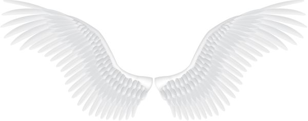 翅膀 PNG免抠图透明素材 16设计网编号:103441