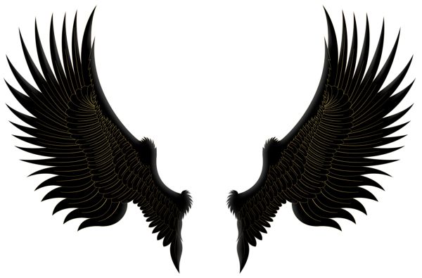 翅膀 PNG免抠图透明素材 16设计网编号:103442