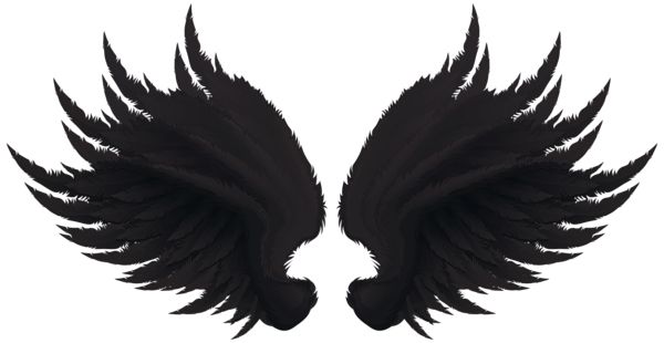 翅膀 PNG免抠图透明素材 16设计网编号:103443