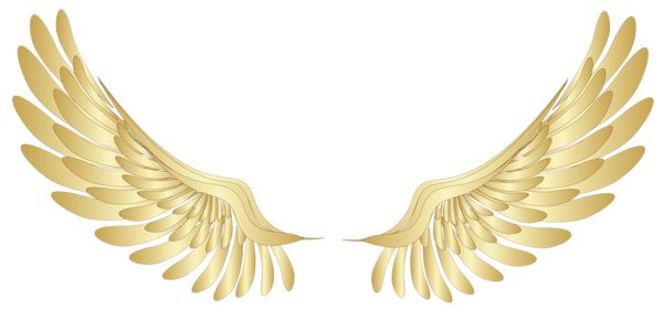 翅膀 PNG免抠图透明素材 16设计网编号:103447