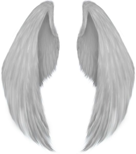 翅膀 PNG免抠图透明素材 16设计网编号:103448