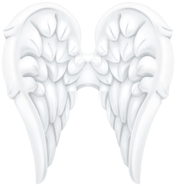 翅膀 PNG免抠图透明素材 16设计网编号:103450
